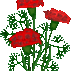 1436485_8685_tiny