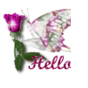 1043393_5225_card