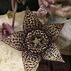 1430965_6202_tiny
