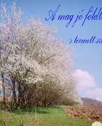 1448966_2937_profile