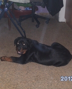1449159_2865_profile
