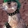 144056_68814_mini