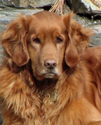 144390_21093_profile