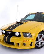 1454091_3173_profile