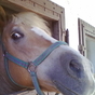 1454860_3737_card
