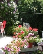 1455359_7654_profile