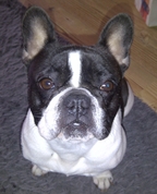 1457556_6308_profile