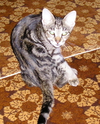 1458934_2185_profile