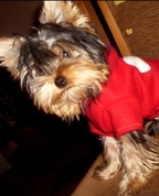 1450116_7806_profile