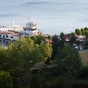 1464529_1312_card