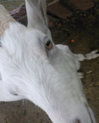 1487756_9031_profile