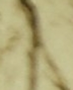 1488605_2389_profile