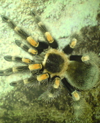 1489606_5713_profile