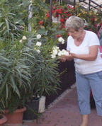 1480652_1466_profile