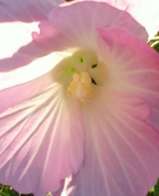 1492698_1766_profile