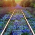 1492931_1279_tiny