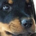 1494663_4872_tiny