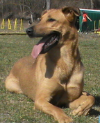 1495626_9043_profile
