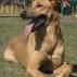 1495626_9043_tiny