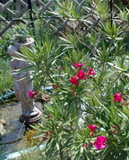 1498591_7004_profile