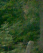 1499831_7415_profile