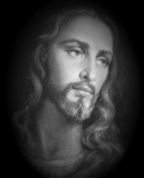1490808_8731_profile