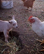 1511490_1103_profile