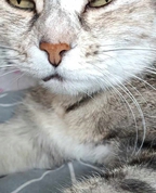 1512564_7396_profile