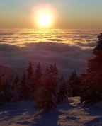 1514573_8601_profile