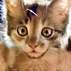 1515507_5984_tiny