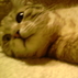 1516686_6567_tiny