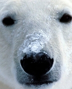 1518839_7488_profile