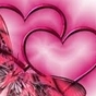 1523738_1317_card