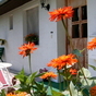 1052077_2046_card