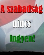 1535940_8194_profile