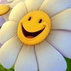 1537826_9123_tiny