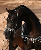 1539323_6596_profile