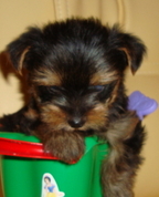 1053114_1336_profile