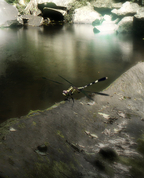 1544030_1694_profile