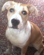 1054459_8122_profile