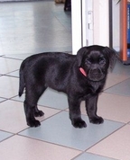 154204_43797_profile