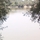 1557278_1413_mini