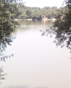 1557278_1413_profile