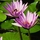 1550545_6070_mini