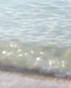 155552_11892_profile