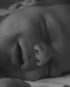 1563809_3906_profile