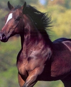 1566376_8307_profile