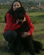 1568745_1356_profile