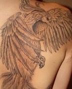 1573256_4092_profile