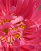 1580347_1925_profile